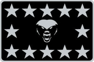 Tier 2 Silver Patch