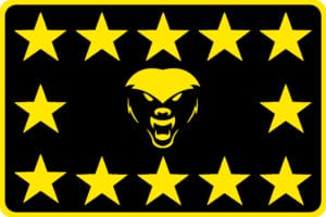 Tier 1 Gold Patch